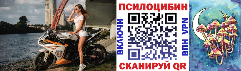 Псилоцибиновые грибы мухоморы  Купить где  Майкоп 